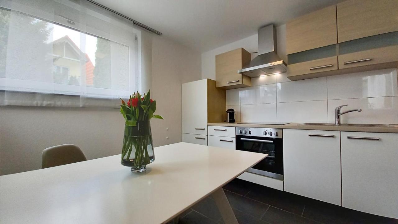 Am Seewald - Ferienwohnung Am Bodensee フリードリヒスハーフェン エクステリア 写真