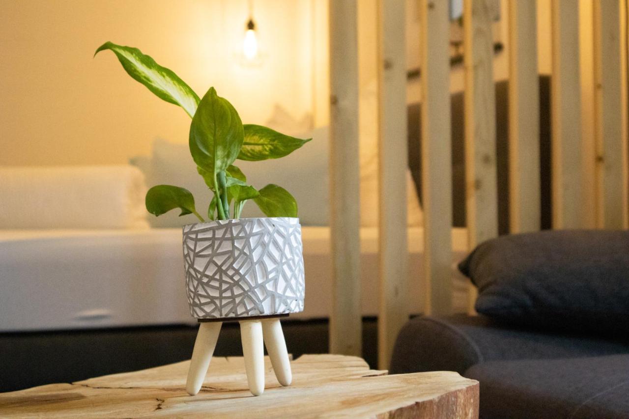 Am Seewald - Ferienwohnung Am Bodensee フリードリヒスハーフェン エクステリア 写真